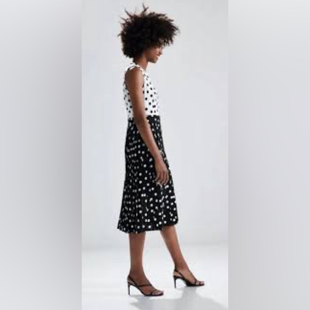 Zara new without tags polka dot dress xs - Picture 4 of 14